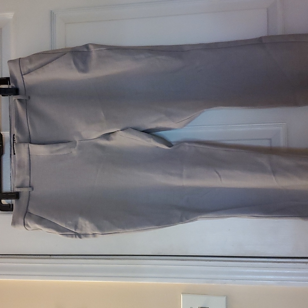 Express Columnist Dress Pants
